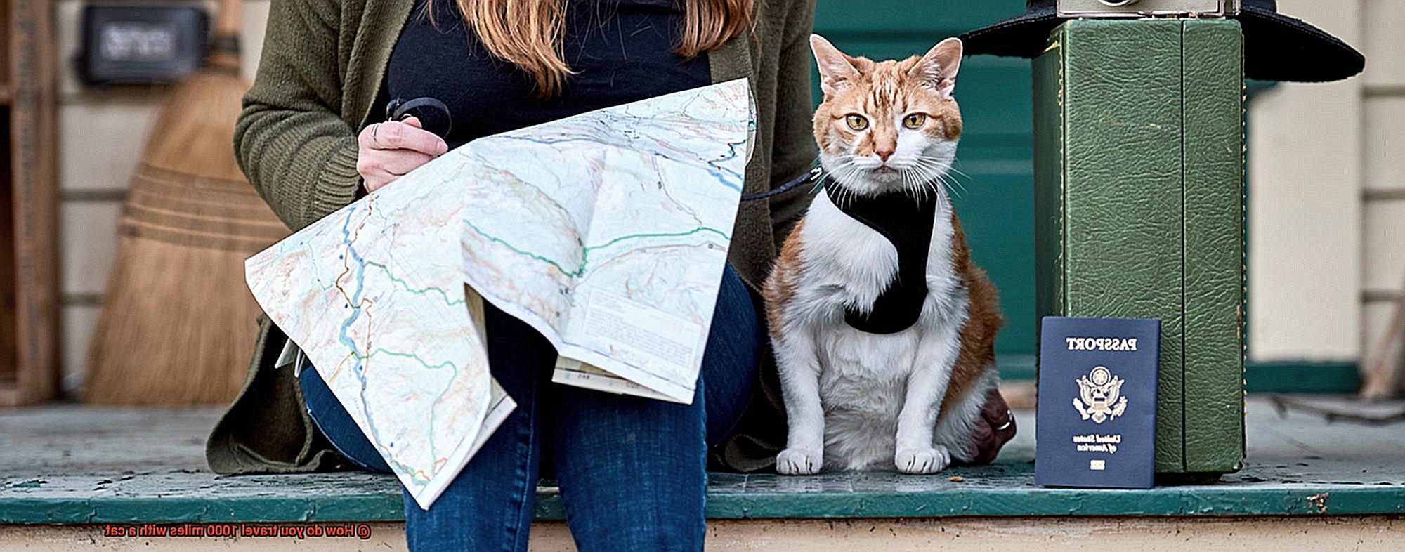 How do you travel 1000 miles with a cat-2