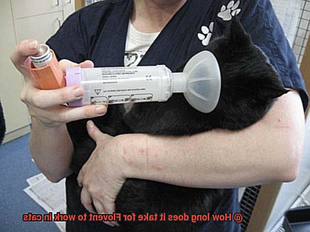 How long does it take for Flovent to work in cats-4