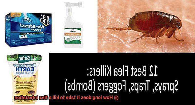 How long does it take to kill a flea infestation-2