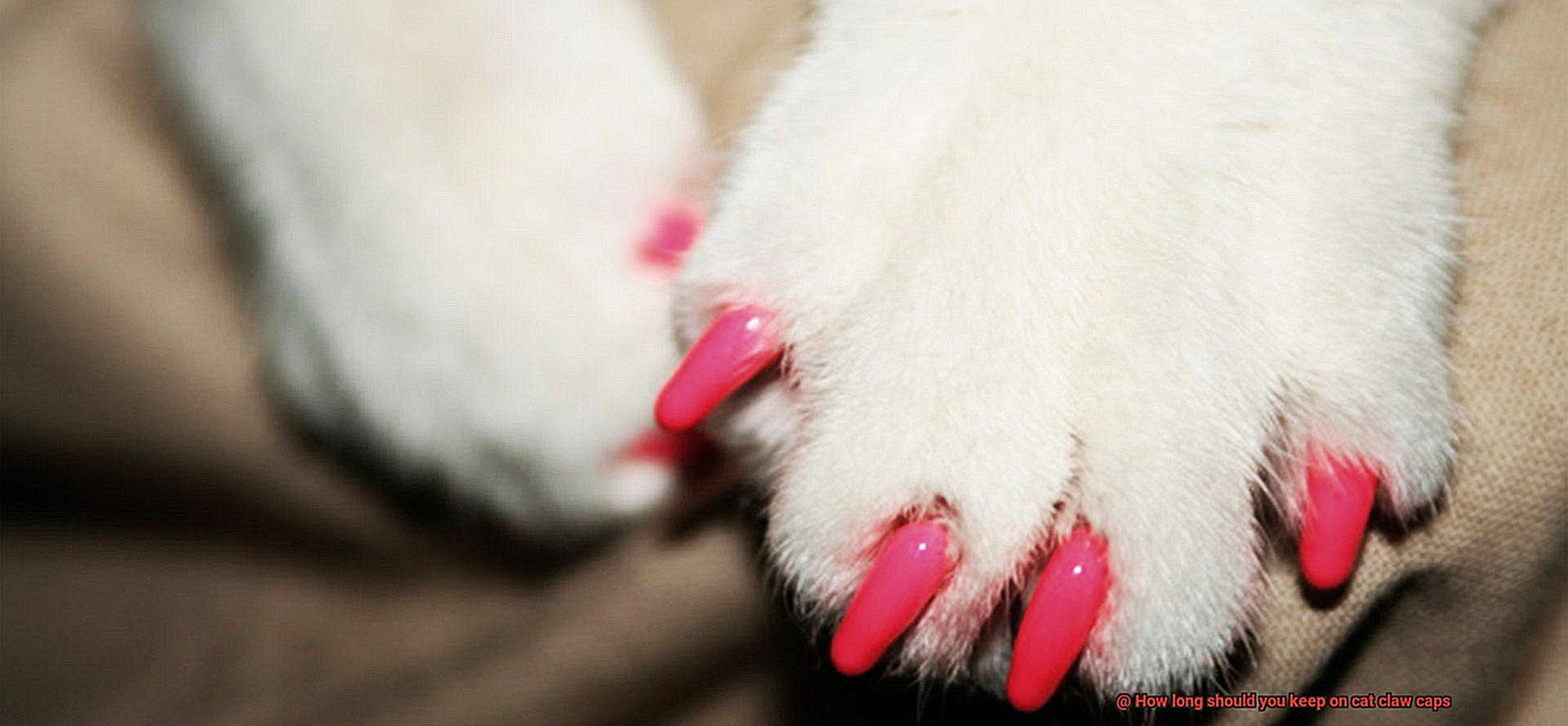 How long should you keep on cat claw caps-2