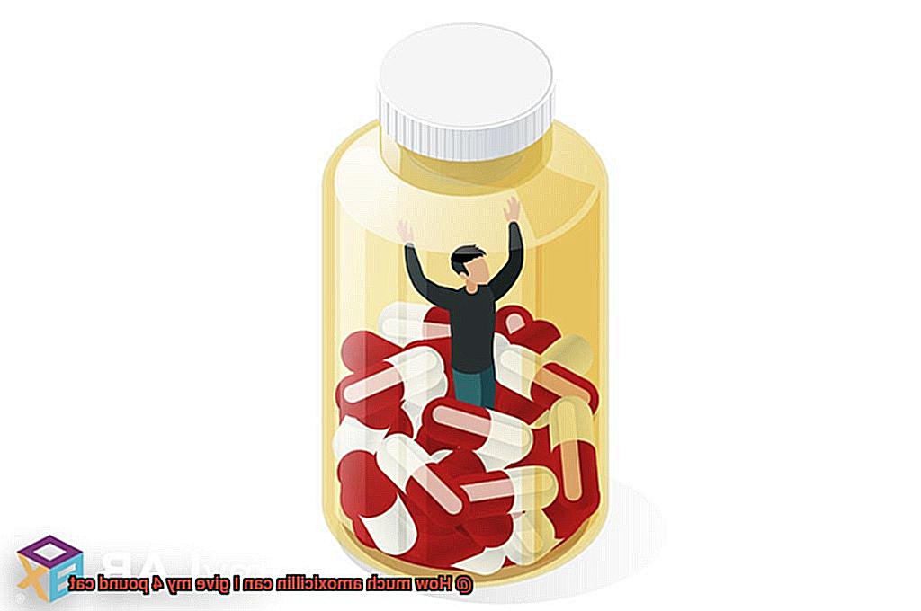 How much amoxicillin can I give my 4 pound cat-2