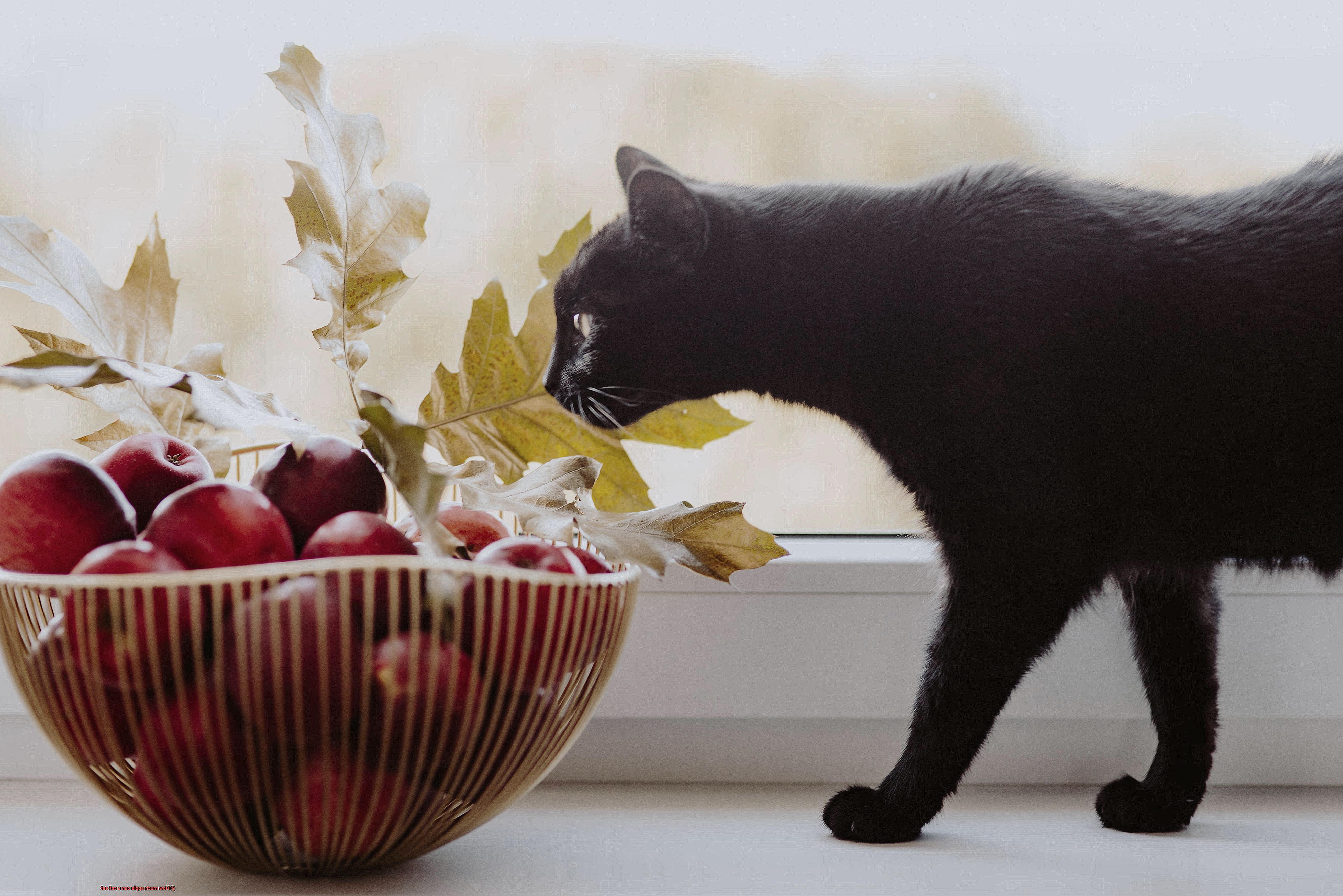 How much apple can a cat eat-3