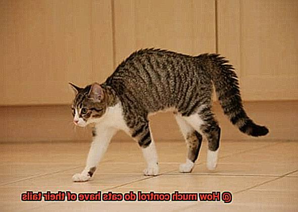 How much control do cats have of their tails-3