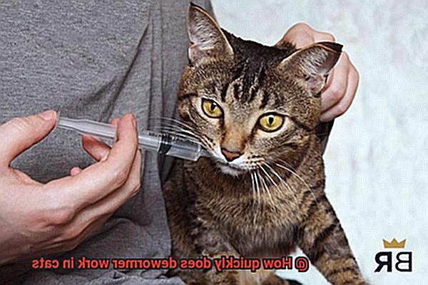 How quickly does dewormer work in cats-2