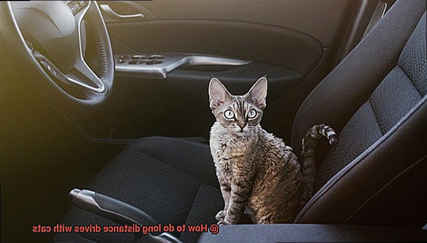 How to do long distance drives with cats-4
