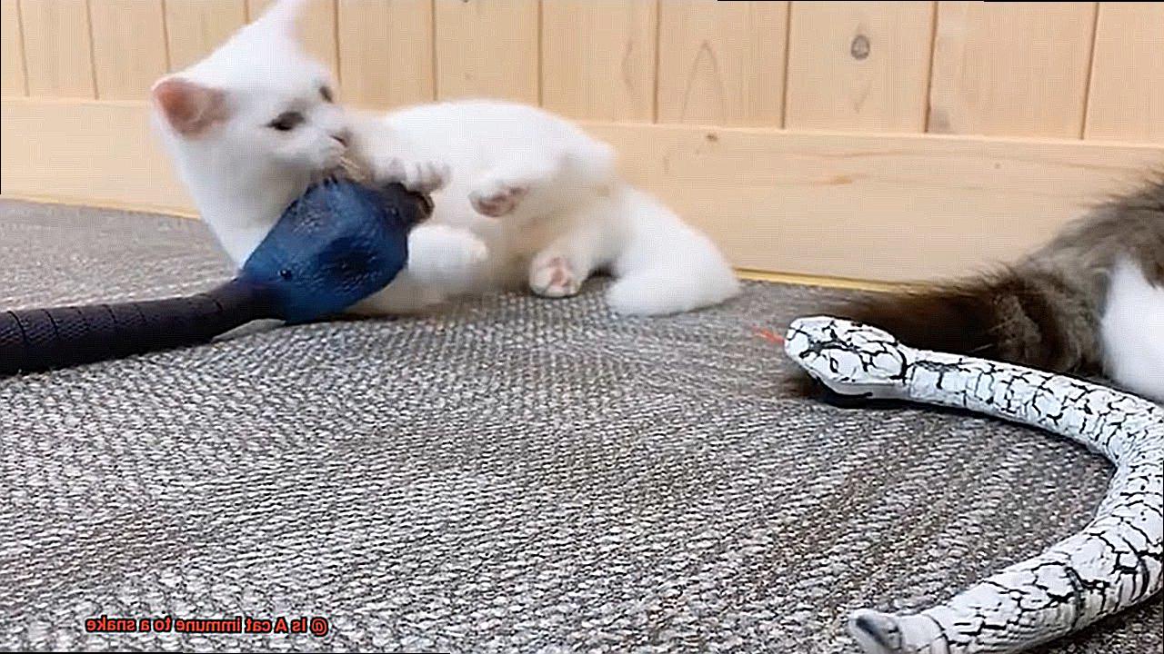 Is A cat immune to a snake-3
