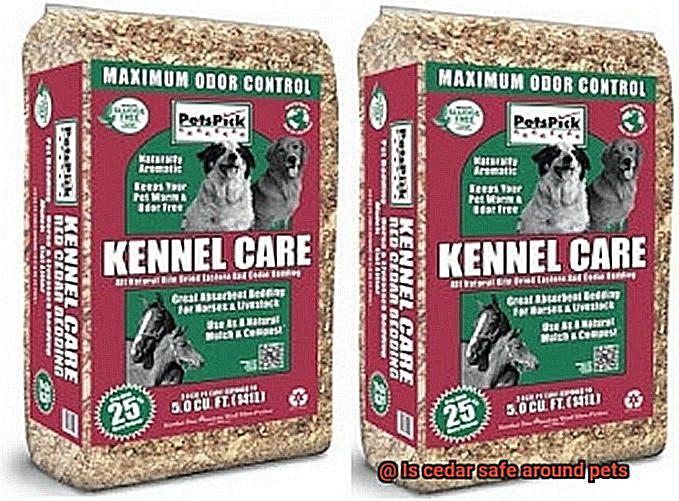 Is cedar safe around pets-2