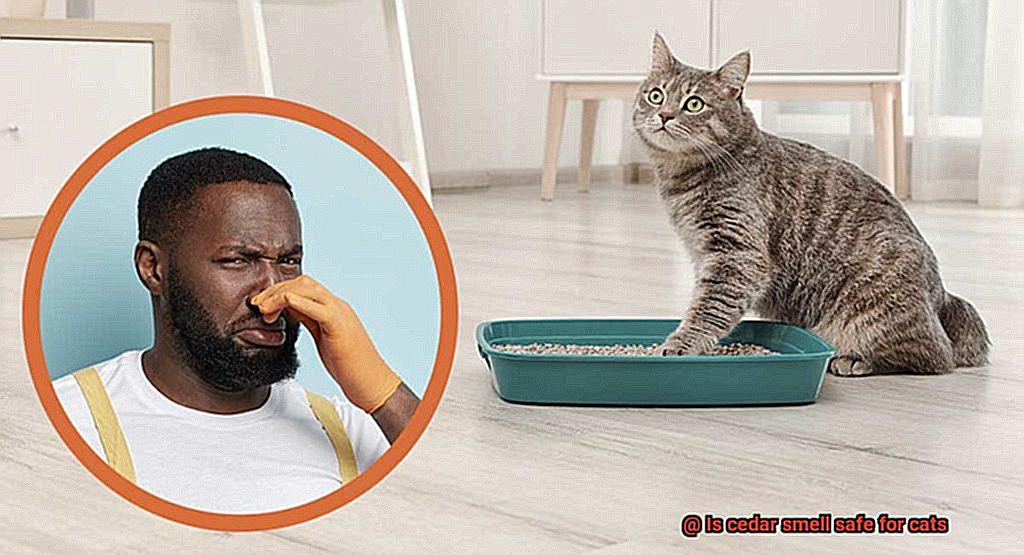 Is cedar smell safe for cats-3