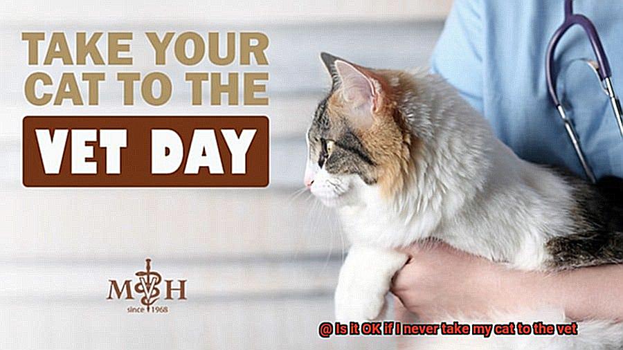 Is it OK if I never take my cat to the vet-2