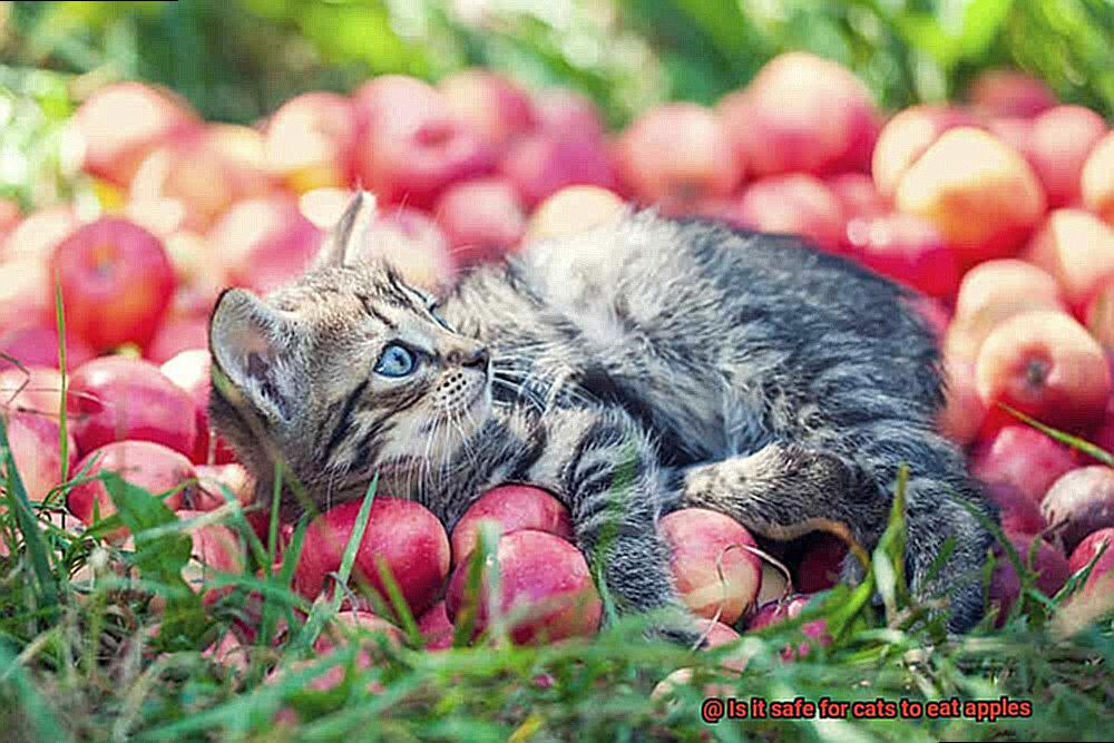 Is it safe for cats to eat apples-2