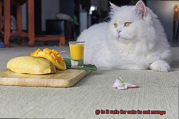 Is it safe for cats to eat mango-2