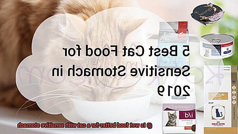 Is wet food better for a cat with sensitive stomach-2
