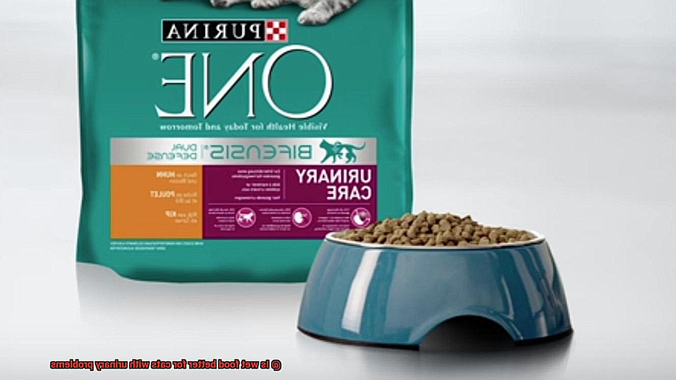 Is wet food better for cats with urinary problems-4