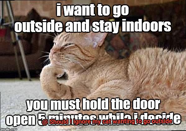 Should I ignore my cat wanting to go outside-3
