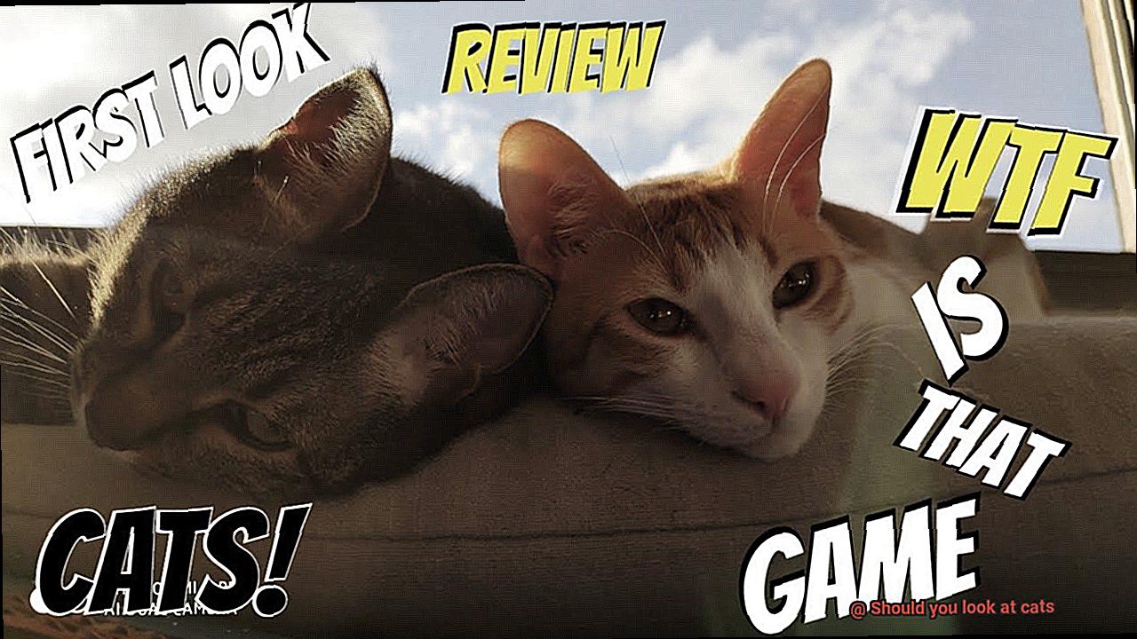 Should you look at cats-2