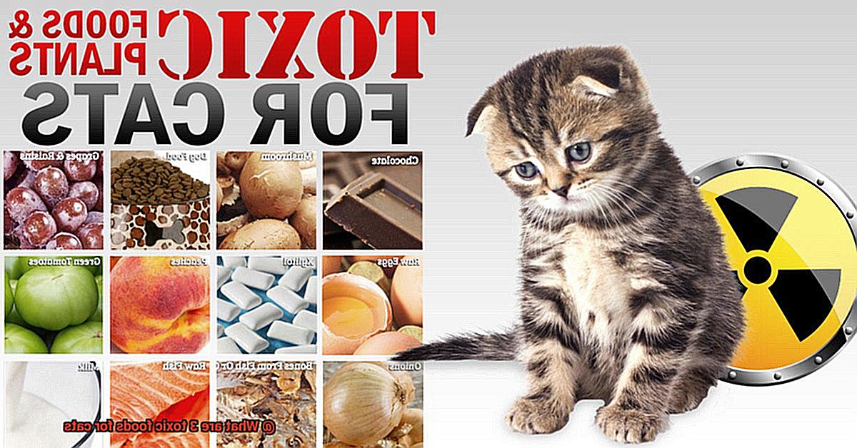 What are 3 toxic foods for cats-3