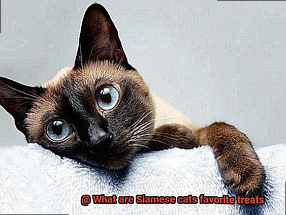 What are Siamese cats favorite treats-3