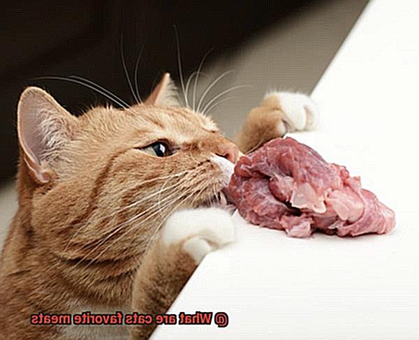 What are cats favorite meats-3