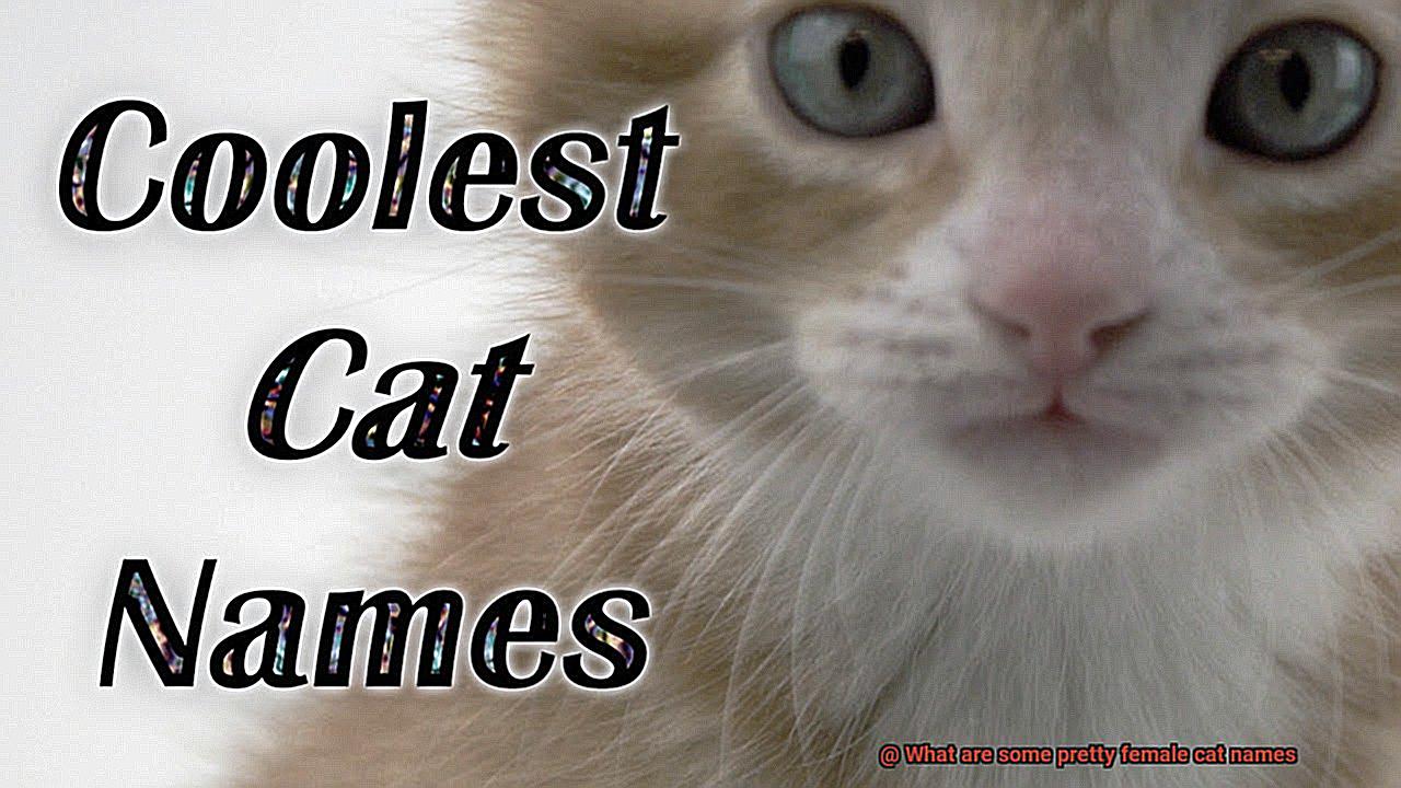 What are some pretty female cat names-3