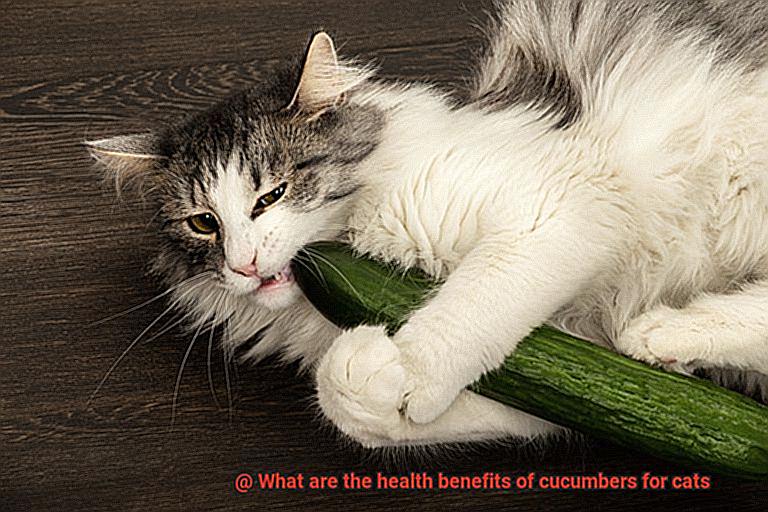 What are the health benefits of cucumbers for cats-2