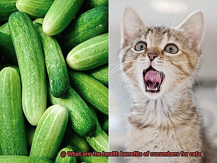 What are the health benefits of cucumbers for cats-4