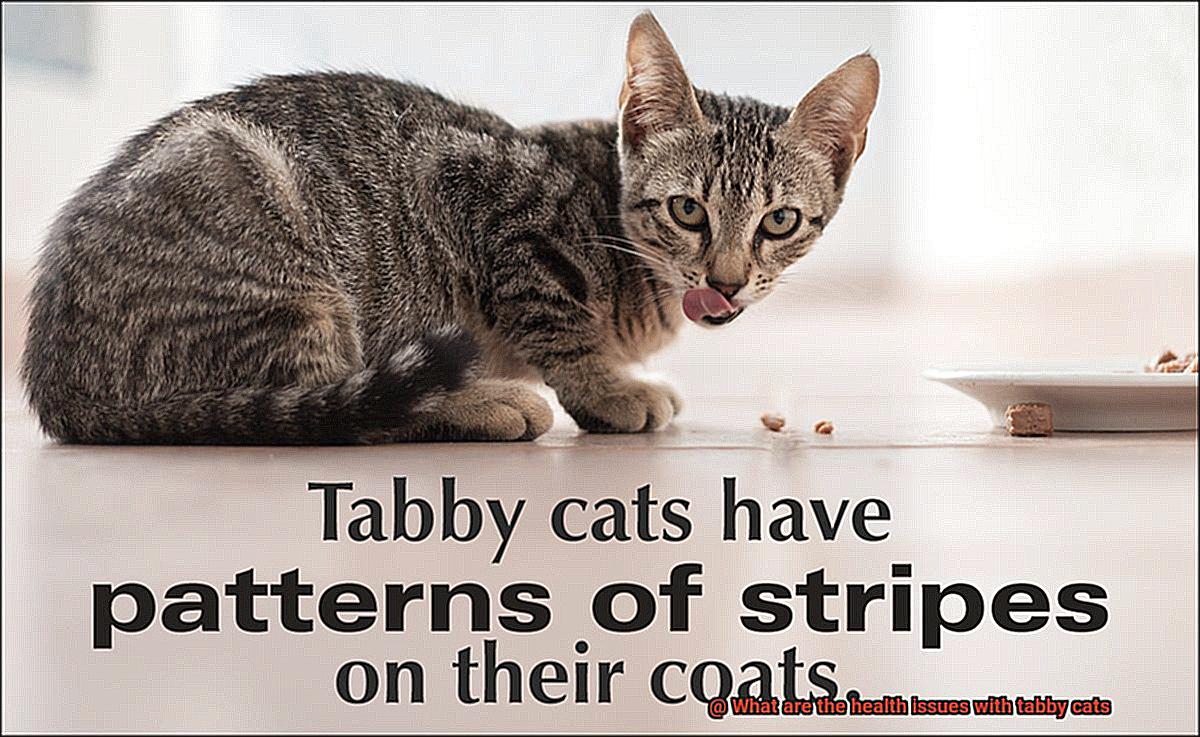 What are the health issues with tabby cats-2