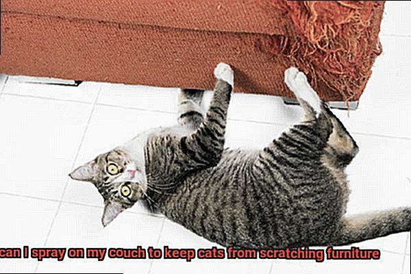 What can I spray on my couch to keep cats from scratching furniture-3