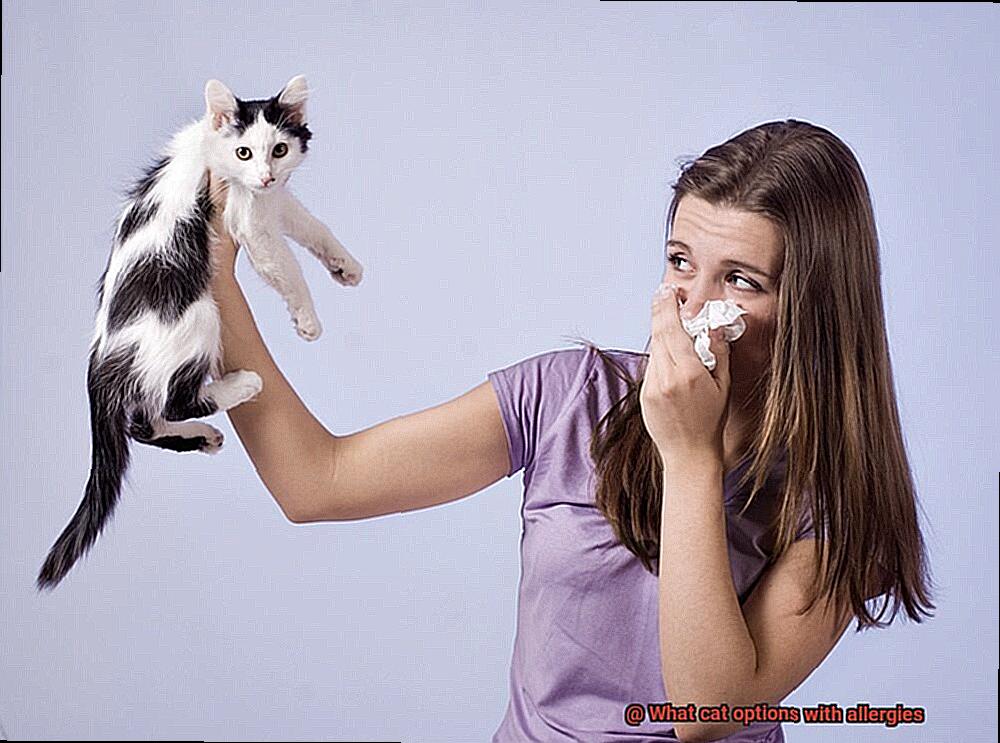 What cat options with allergies-4