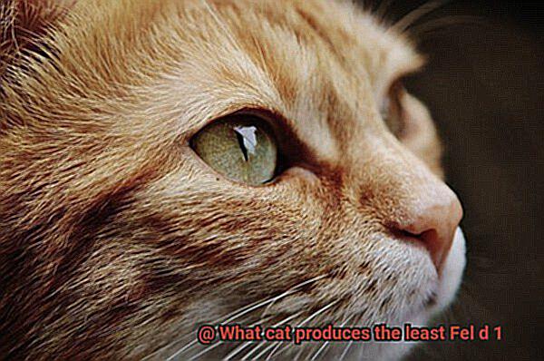 What cat produces the least Fel d 1-3