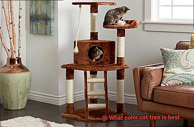What color cat tree is best-2