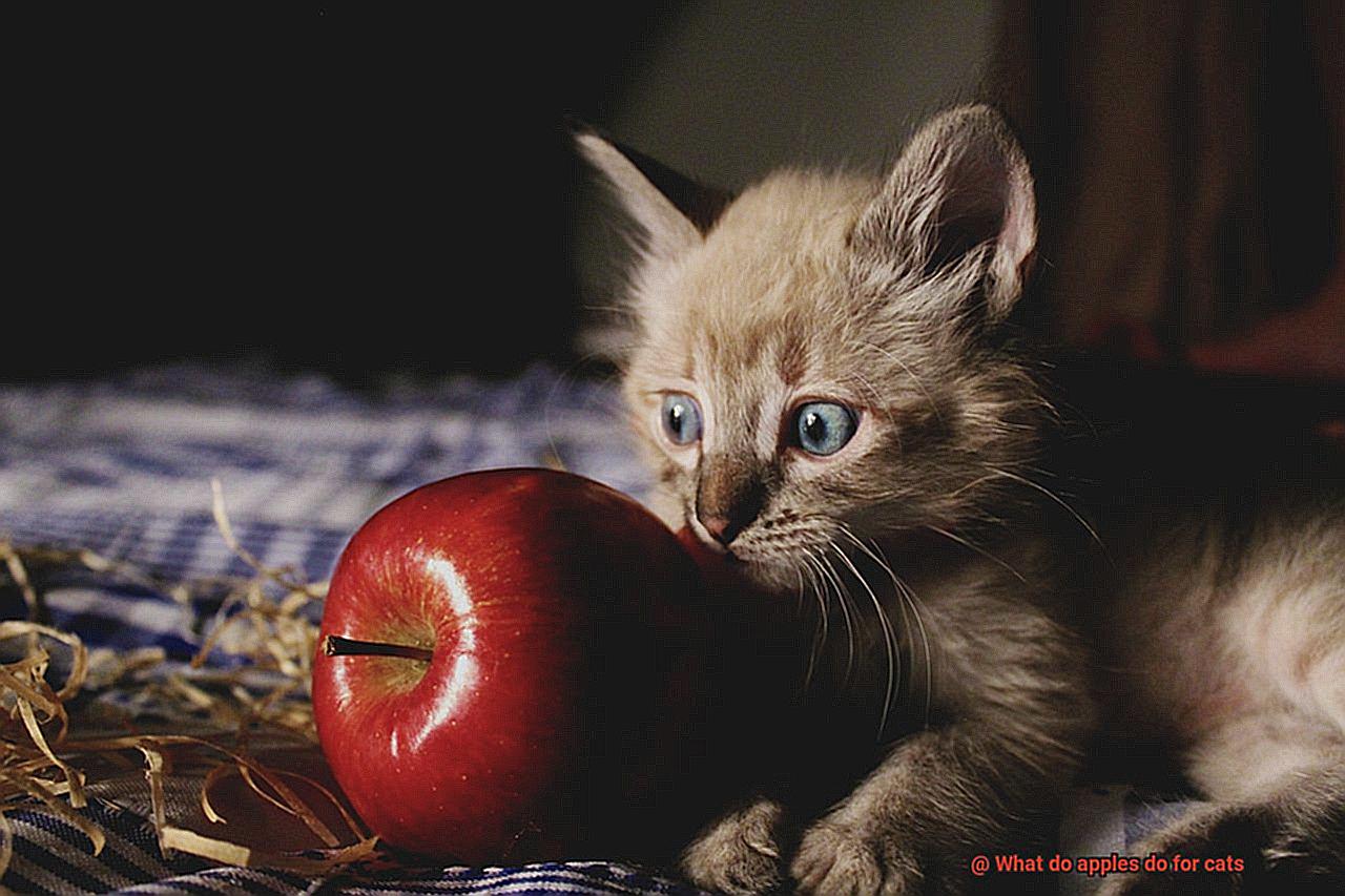 What do apples do for cats-4