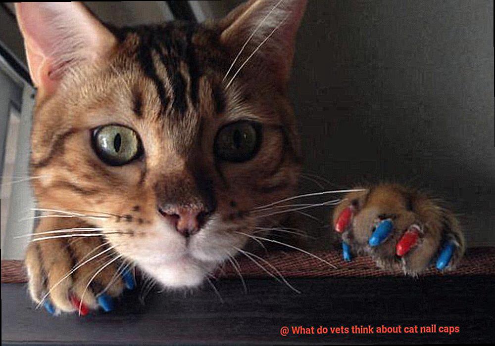 What do vets think about cat nail caps-3