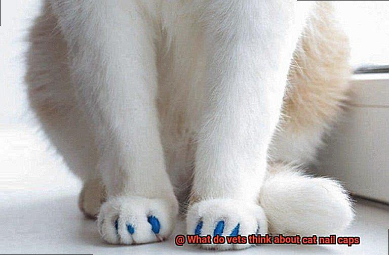 What do vets think about cat nail caps-4