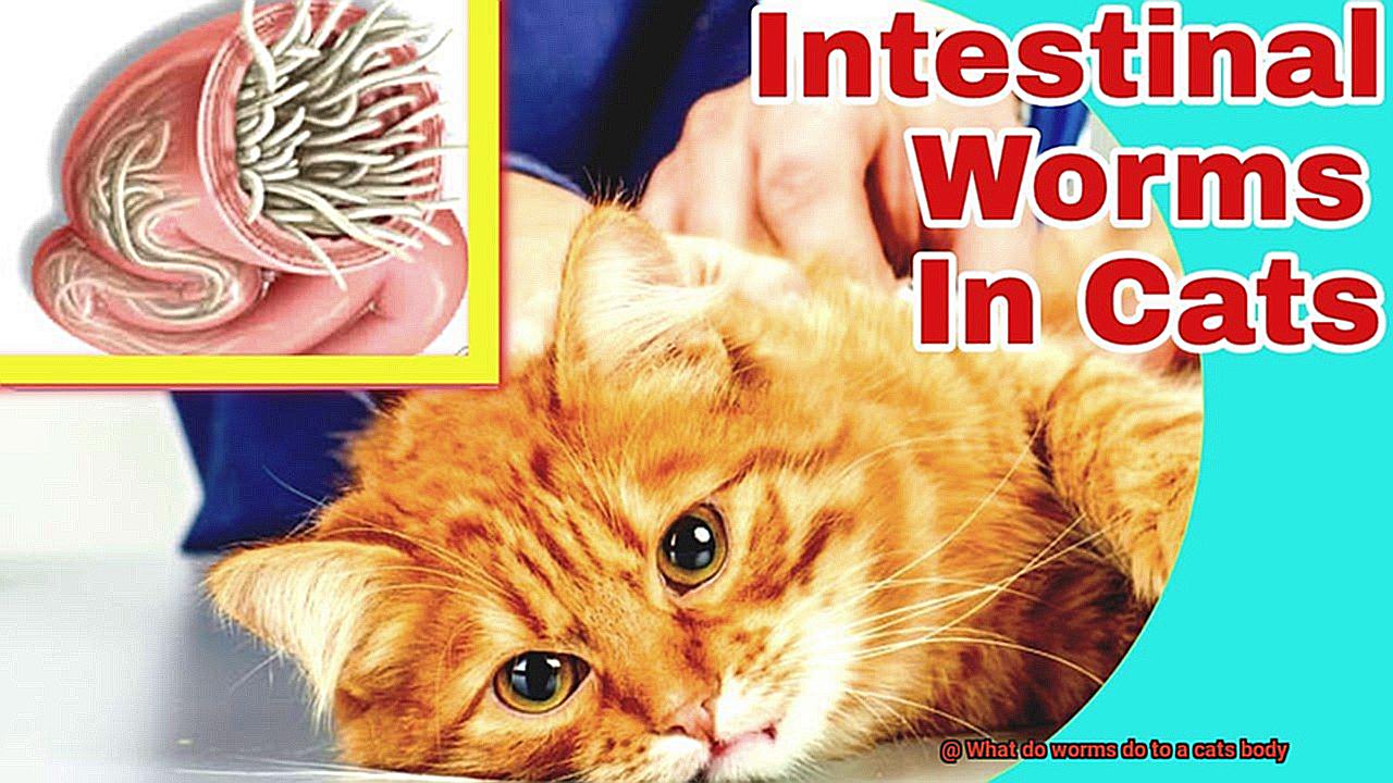What do worms do to a cats body?