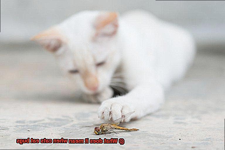 What does it mean when cats eat bugs-3