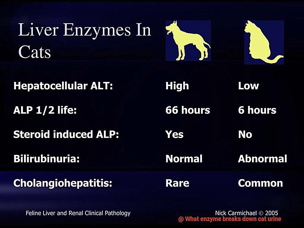 What enzyme breaks down cat urine-2