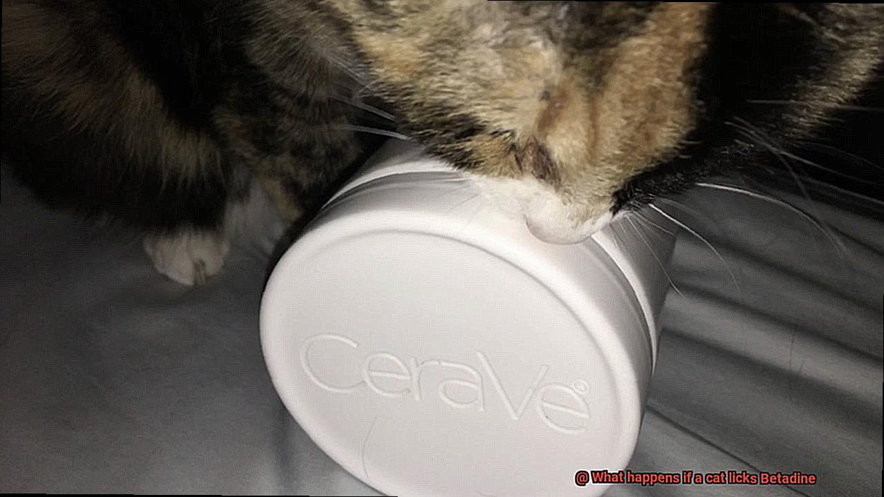 What happens if a cat licks Betadine-2