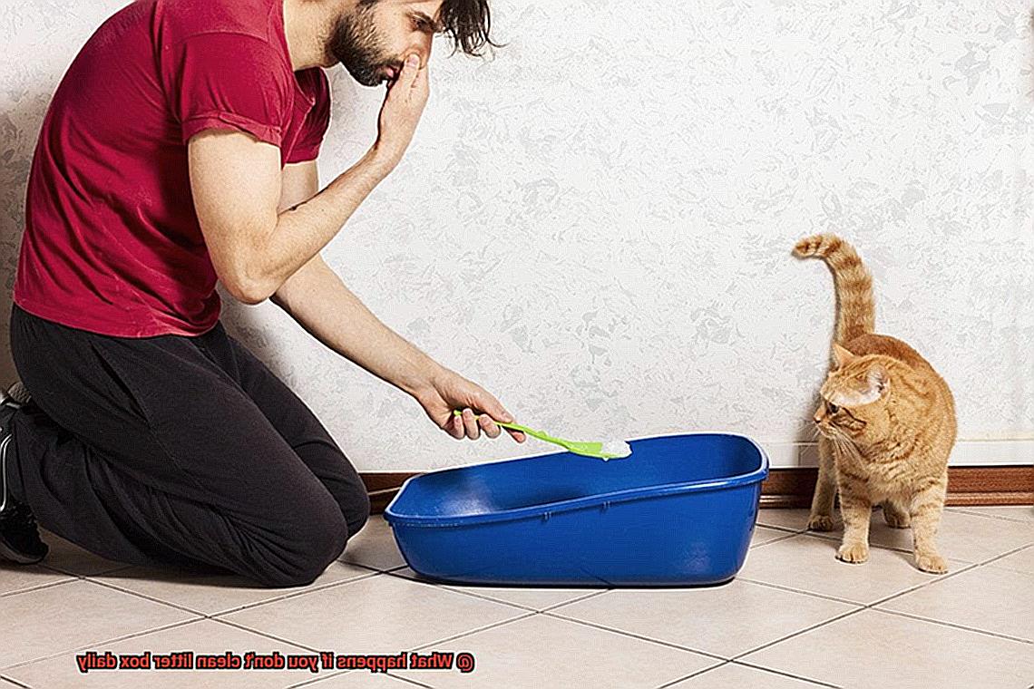 What happens if you don't clean litter box daily-4