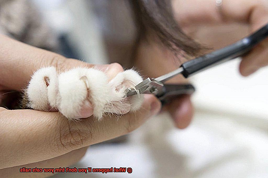 What happens if you don't trim your cats nails-3