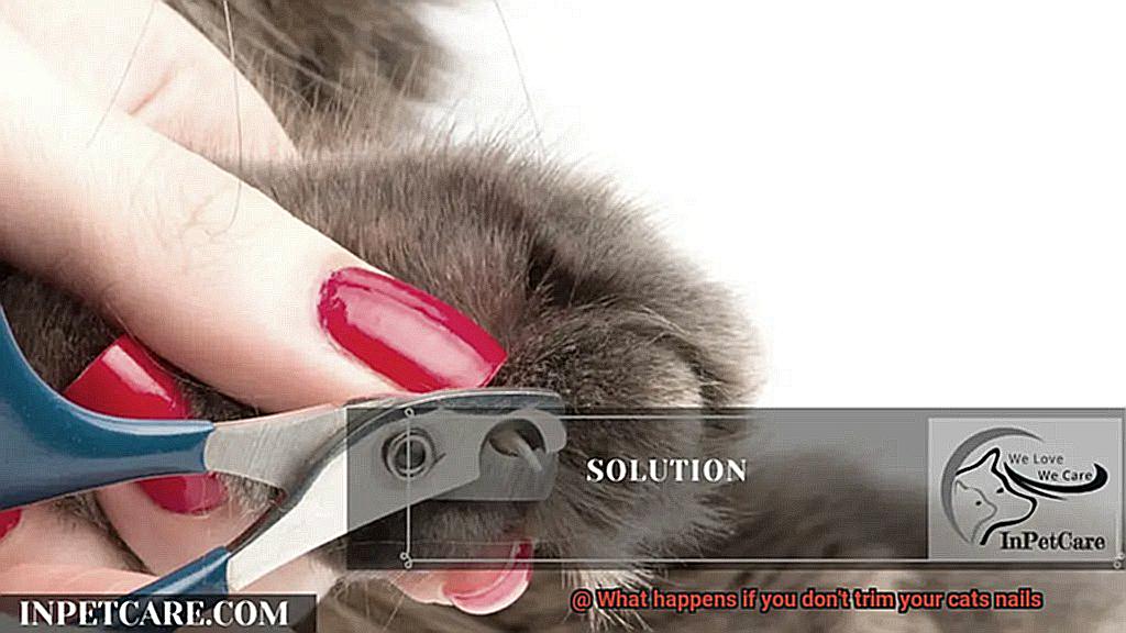 What happens if you don't trim your cats nails-2