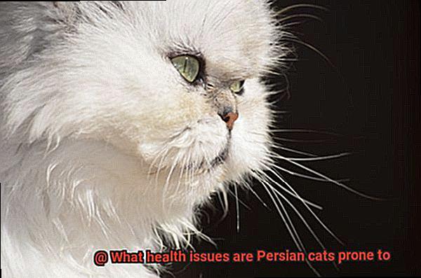 What health issues are Persian cats prone to-3