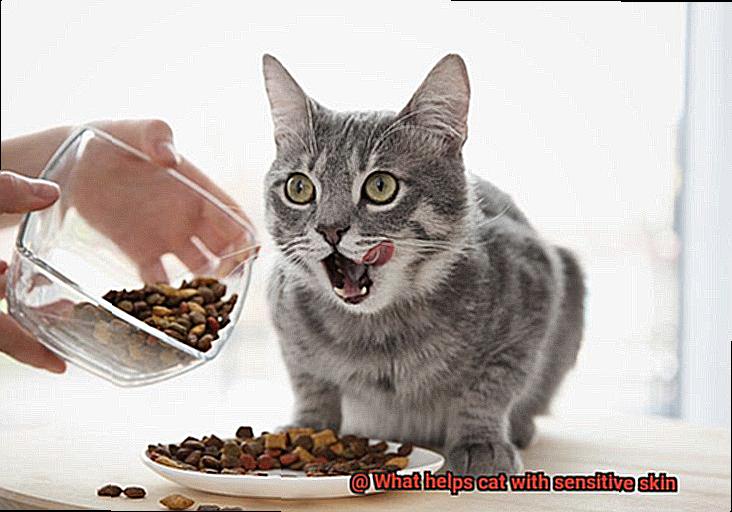 What helps cat with sensitive skin-4