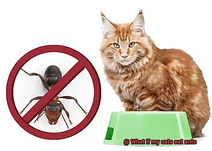What if my cats eat ants-2