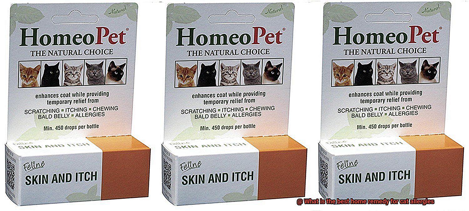What is the best home remedy for cat allergies-2