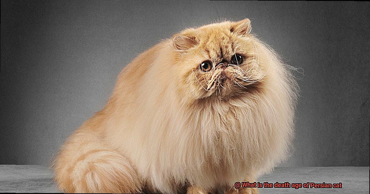 What is the death age of Persian cat-3
