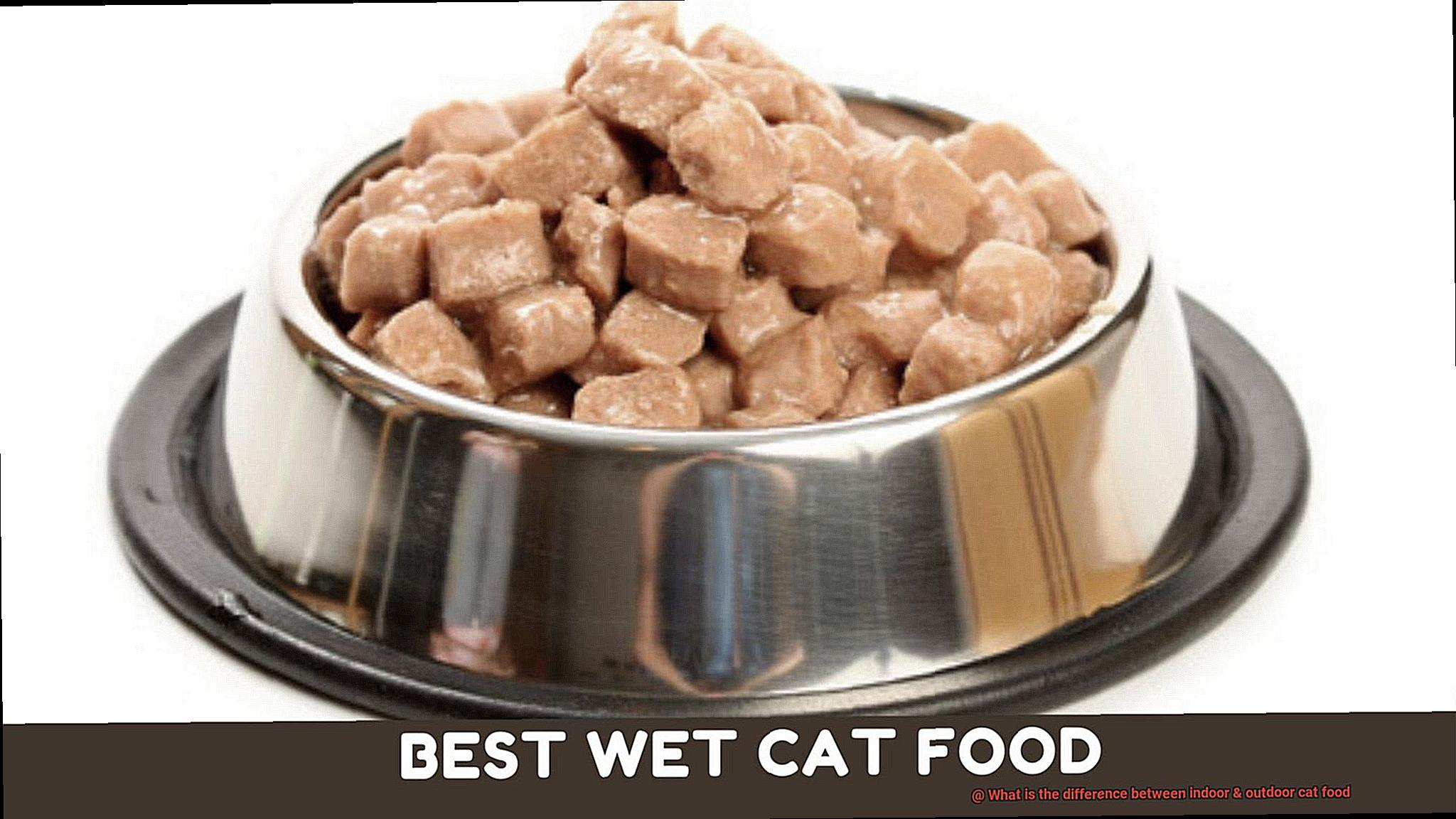 What is the difference between indoor & outdoor cat food-2