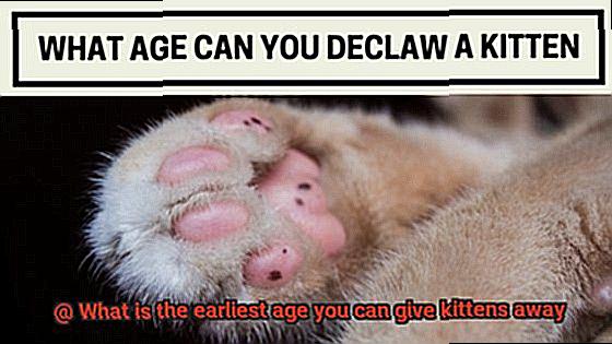 What is the earliest age you can give kittens away-3