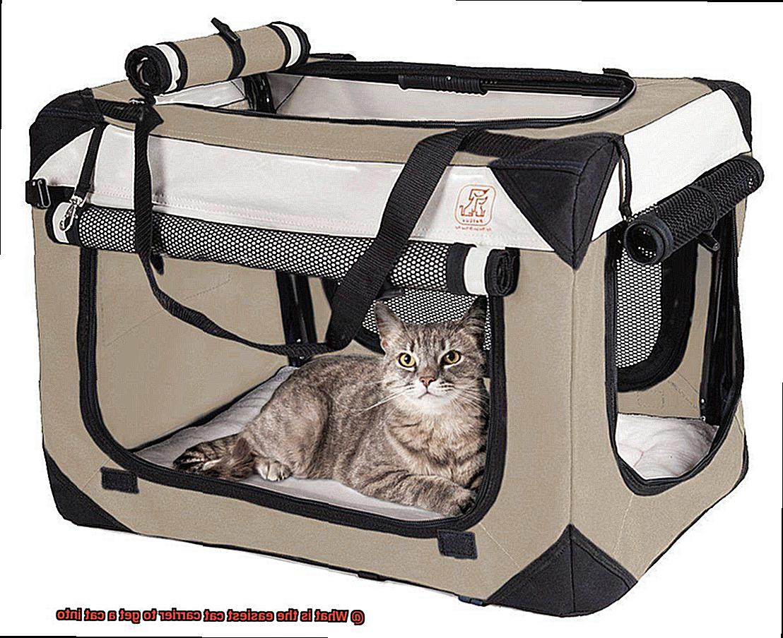 What is the easiest cat carrier to get a cat into-3