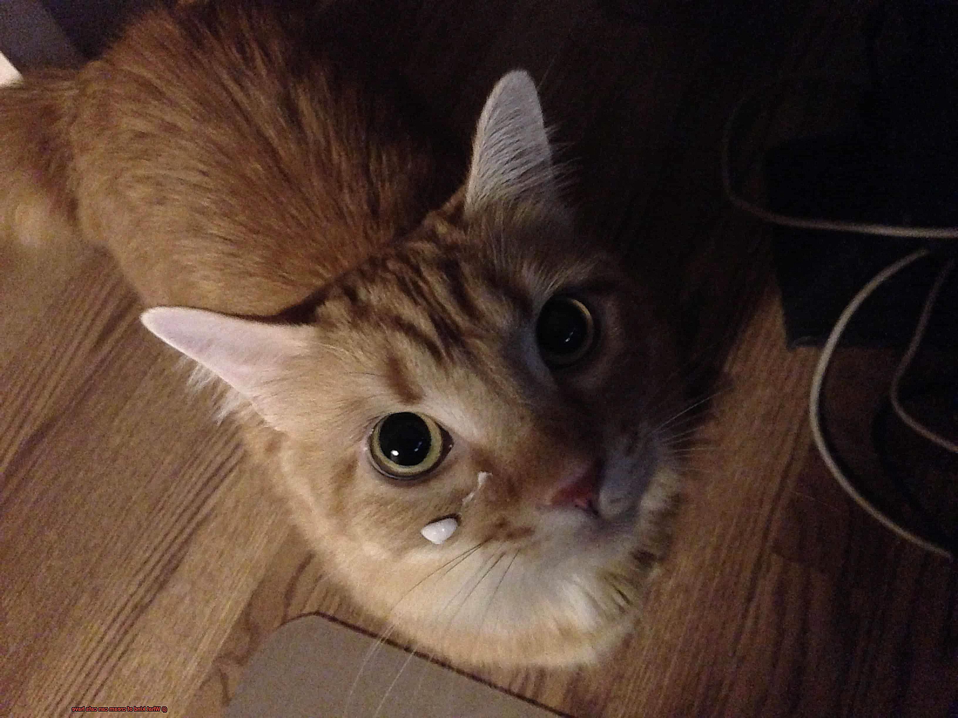 What kind of cream can cats have-2