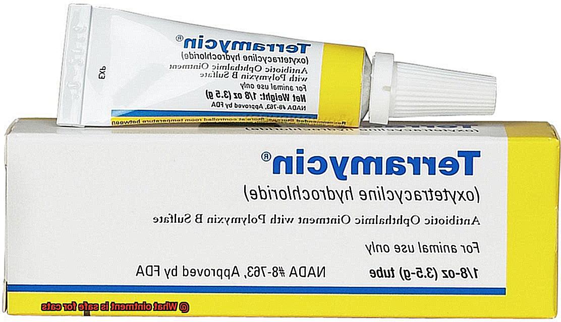 What ointment is safe for cats-2